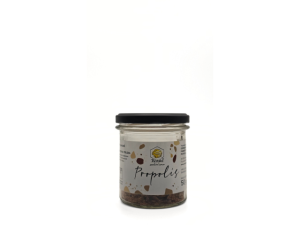 Propolis - kit pszczeli
