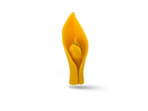 Świeca woskowa - Tulipan